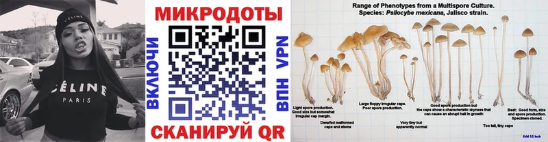 Псилоцибиновые грибы ЛСД Жирновск
